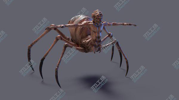 images/goods_img/20210312/3D Spider RIGGED/3.jpg